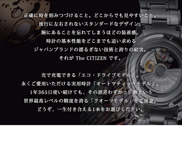 ザ・シチズン エコドライブ ソーラー メンズ 腕時計 AQ1054-59E THE